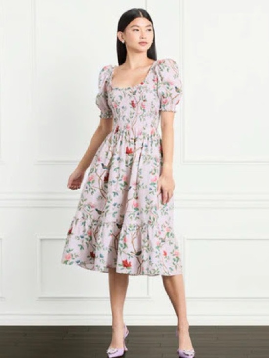 Hill House Dresses & Skirts - NWT Hill House Louisa Nap Dress - Diane Hill Chinoiserie XL *artist edition*